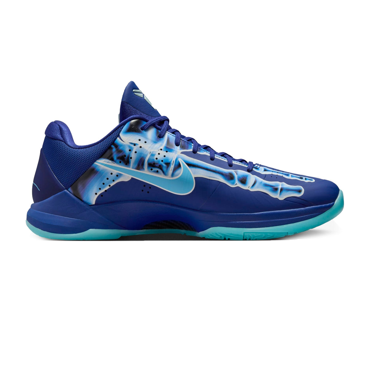 5 'X-Ray' GS (2024)